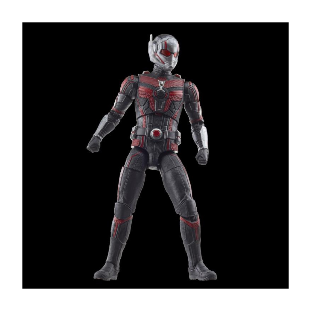 Marvel Legends Ant-Man & the Wasp Quantumania Ant-Man